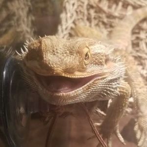 Meet your Posher, Stacy